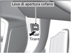 Apertura del cofano motore