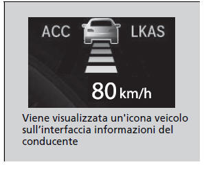 Controllo di velocità di crociera adattativo (ACC) con funzione mantenimento a bassa velocità (LSF)