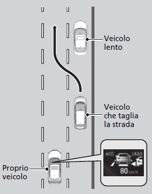 Controllo di velocità di crociera adattativo (ACC) con funzione mantenimento a bassa velocità (LSF)