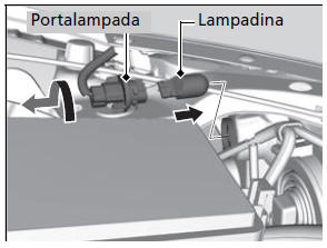 Lampadine indicatori di direzione anteriori