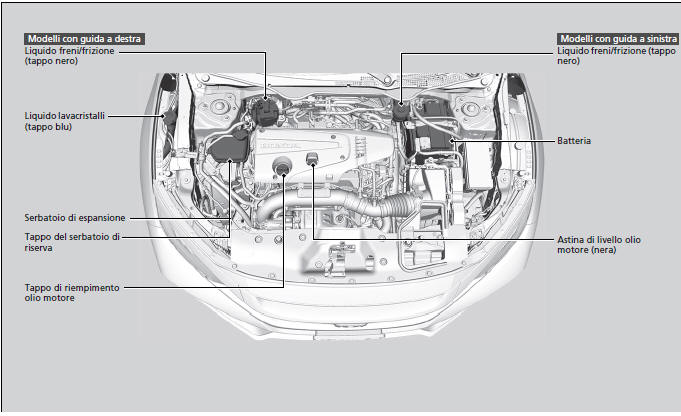 Manutenzione sotto il cofano motore