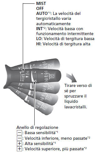 Tergi e lavacristalli