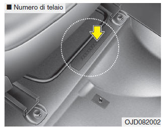 NUMERO DI IDENTIFICAZIONE VEICOLO (VIN)