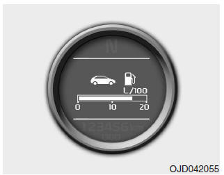 Econ. carb. MEDIA (se in dotazione) (L/100 km)