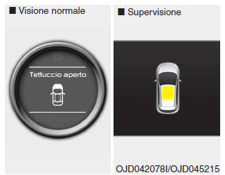 Informazioni display LCD 