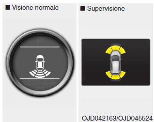 Informazioni display LCD 