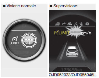 Sistema di controllo limite di velocità (se in dotazione)