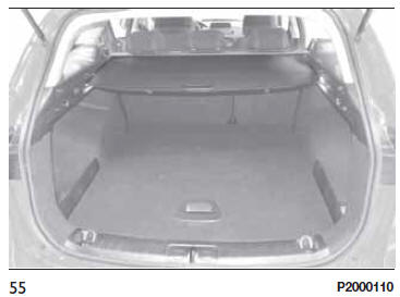 TENDINA COPRIBAGAGLIO