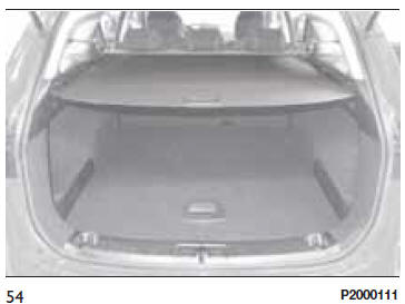 TENDINA COPRIBAGAGLIO