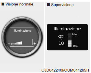 Informazioni display LCD