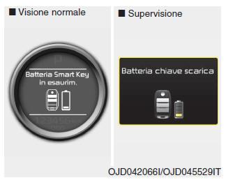 Informazioni display LCD